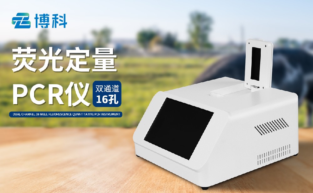 雙通道非洲豬瘟檢測(cè)儀