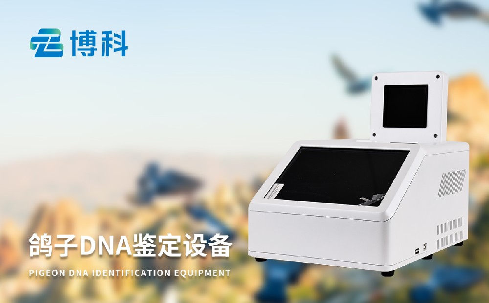 鴿子dna檢測儀器